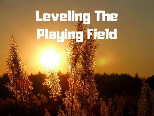 Leveling The Playing Field Title Graphic