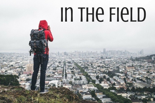 In The Field Title Graphic