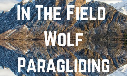 In The Field Wolf Paragliding Title Graphic
