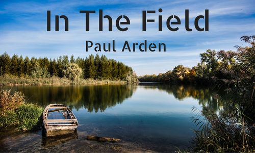 In The Field Paul Arden Title Graphic