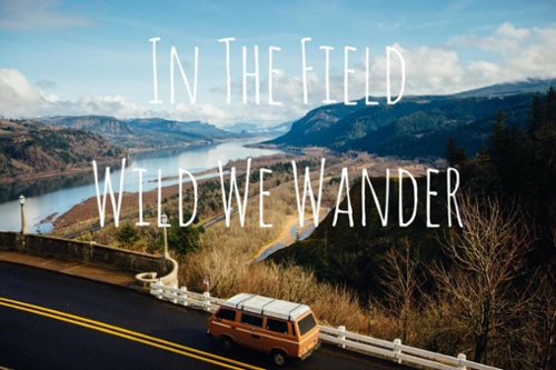 In The Field Wild We Wander Title Graphic