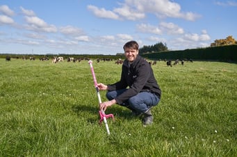 Richard crouching with Farmote Systems device and cows behind